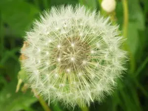 Subconscious Healing Power