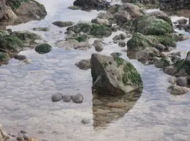 Ancient Sync Stone Pool An Ancient Sync Stone Pool Pic