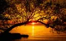 Empowerment Programs