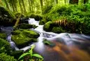 Healing Programs