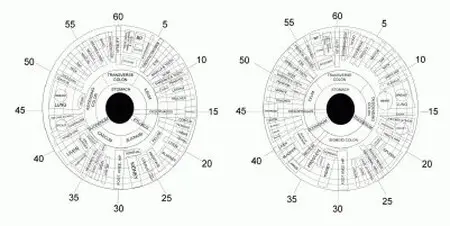 Iris Map Iris Map Pic