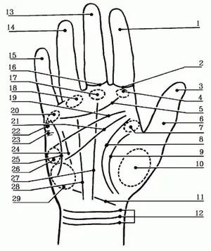 Palm Map Palm Map Pic
