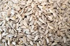 Sunflower Seeds Sunflower Seeds Pic